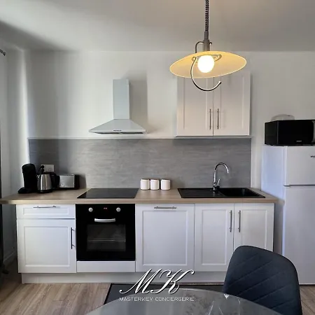 Le Voute Spacieux & Soigne Apartment